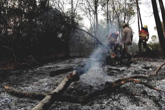 MS tem 12 munic&iacute;pios com situa&ccedil;&atilde;o emergencial, metade por conta de queimadas