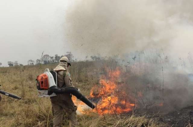 Chuva elimina focos de inc&ecirc;ndios ap&oacute;s 58 dias de opera&ccedil;&atilde;o no Pantanal 