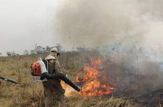 Militares usando abafadores para conter as chamas na região do Pantaneira. (Foto: Divulgação/CBMMS)