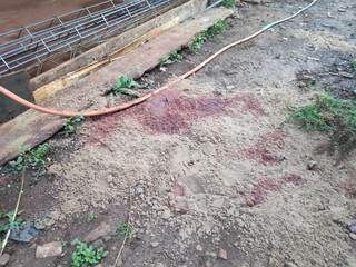 Marcas de sangue no local onde teria acontecido uma festa. (Foto: Adilson Domingos)