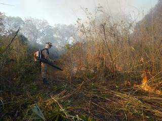 Bombeiro combatendo foco de incêndio na região pantaneira de Corumbá. (Foto: Corpo de Bombeiros)