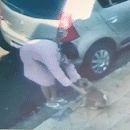 Família procura mulher de roupão rosa que levou cachorro Juca de frente de casa