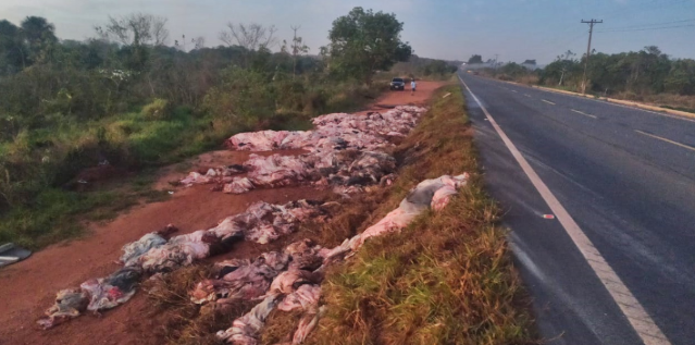 Caminh&atilde;o tomba e carga de couro fica espalhada na MS-395