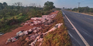 Carga de couro ficou espalhada pela rodovia. (Foto: Cenário MS)