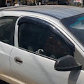 Comerciantes se revoltam com filhotes de cachorro presos em carro na Afonso Pena