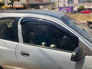 Animais ficaram presos por cerca de duas horas no veículo, em dia quente. (Foto: Mariely Barros)