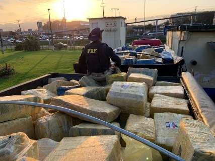 Polícia catarinense apreende 24 toneladas de maconha que saíram de MS