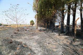 Área de vegetação queimada pelo fogo nesta manhã (Foto: Kísie Ainoã)