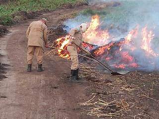 Bombeiros em trabalho de combate a incêndio no Pantanal. (Foto: Divulgação/Corpo de Bombeiros)