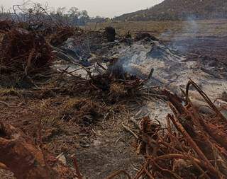 Fazendeiro foi multado por realizar queimada ilegal em Bela Vista. (Foto: Divulgação/PMA)