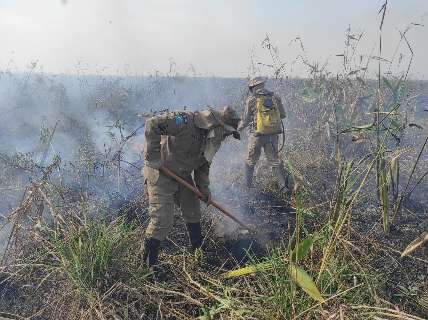 No feriado, bombeiros extinguem fogo na Nhecolândia e próximo ao Forte Coimbra 