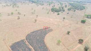 Incêndio em terreno de siderúrgica começou com queda de poste Incêndio em terreno de siderúrgica começou com queda de poste