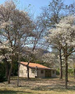 H&aacute; 20 anos, Edson encontrou sossego nas flores e no rio cristalino