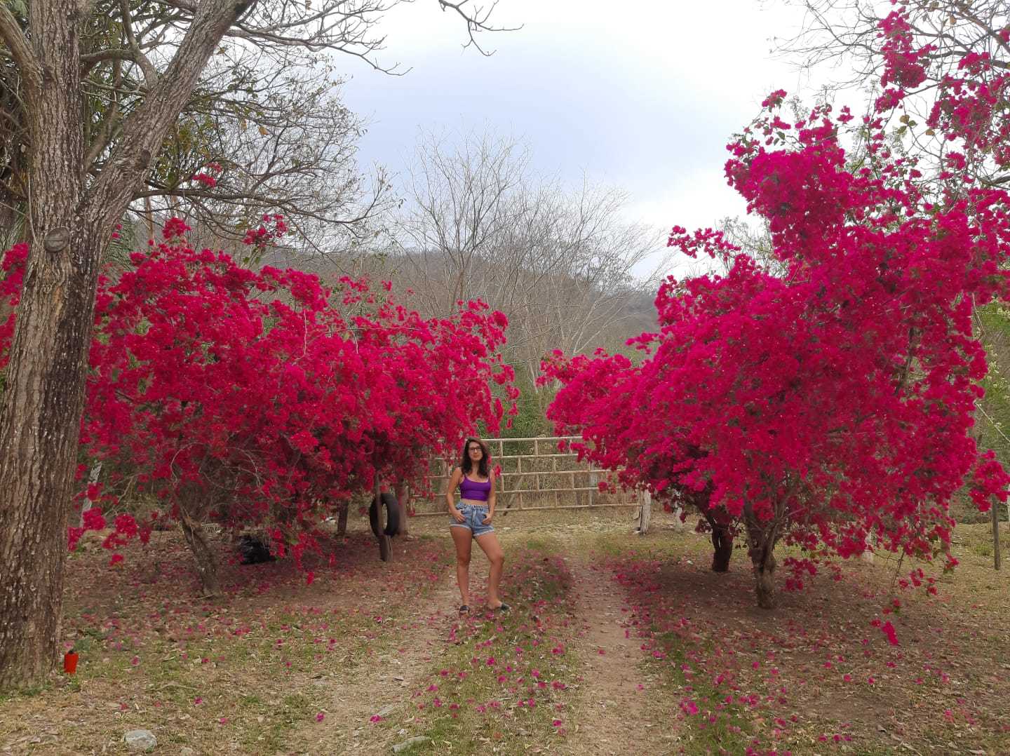 A psicóloga Tamyres Cuellar teve sorte de passar um fim de semana no recanto e aproveitar a florada de Primavera. (Foto: Arquivo Pessoal)