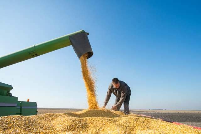 Safra 20/21 cai 1,8% e é estimada em 252,3 milhões de toneladas de grãos