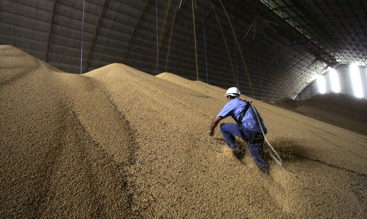 Com colheita finalizada, soja cresceu 8,9% em relação à safra 2019/20. Foto: Agência Brasil