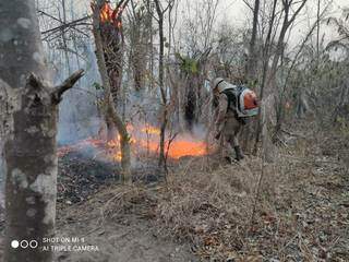 Bombeiros combatendo foco de incêndio no Pantanal. (Foto: Corpo de Bombeiros)