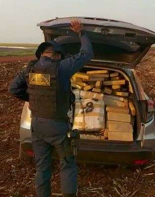 Carro com quase 1 tonelada de maconha &eacute; abandonado em lavoura 