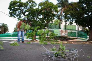 Ap&oacute;s chuva e vento, fios amanhecem ca&iacute;dos em cruzamernto no Jardim dos Estados