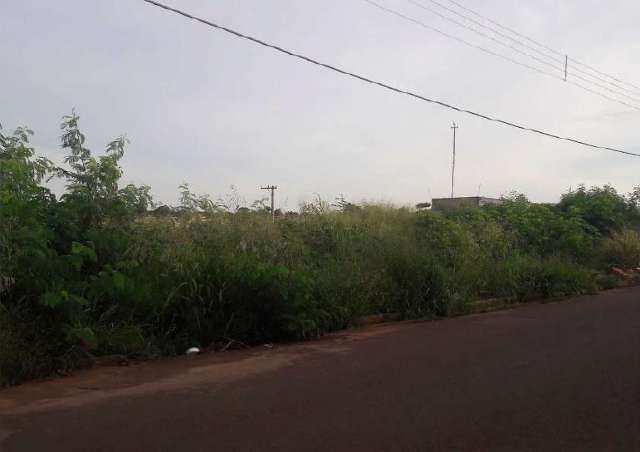 Campo Grande aplica multas em 157 donos de terrenos sem limpeza