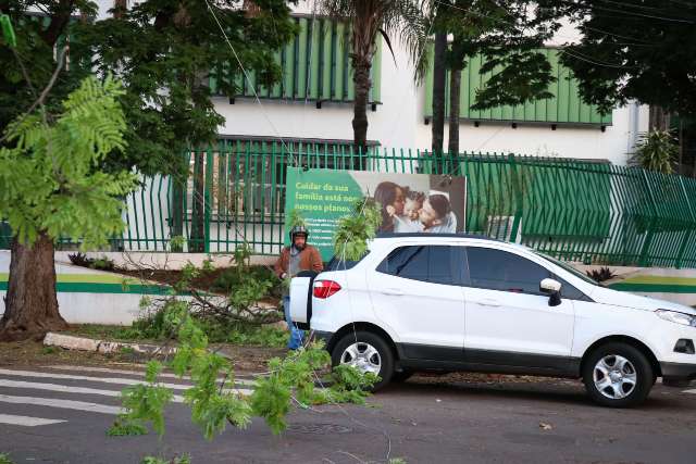 Ap&oacute;s chuva e vento, fios amanhecem ca&iacute;dos em cruzamernto no Jardim dos Estados