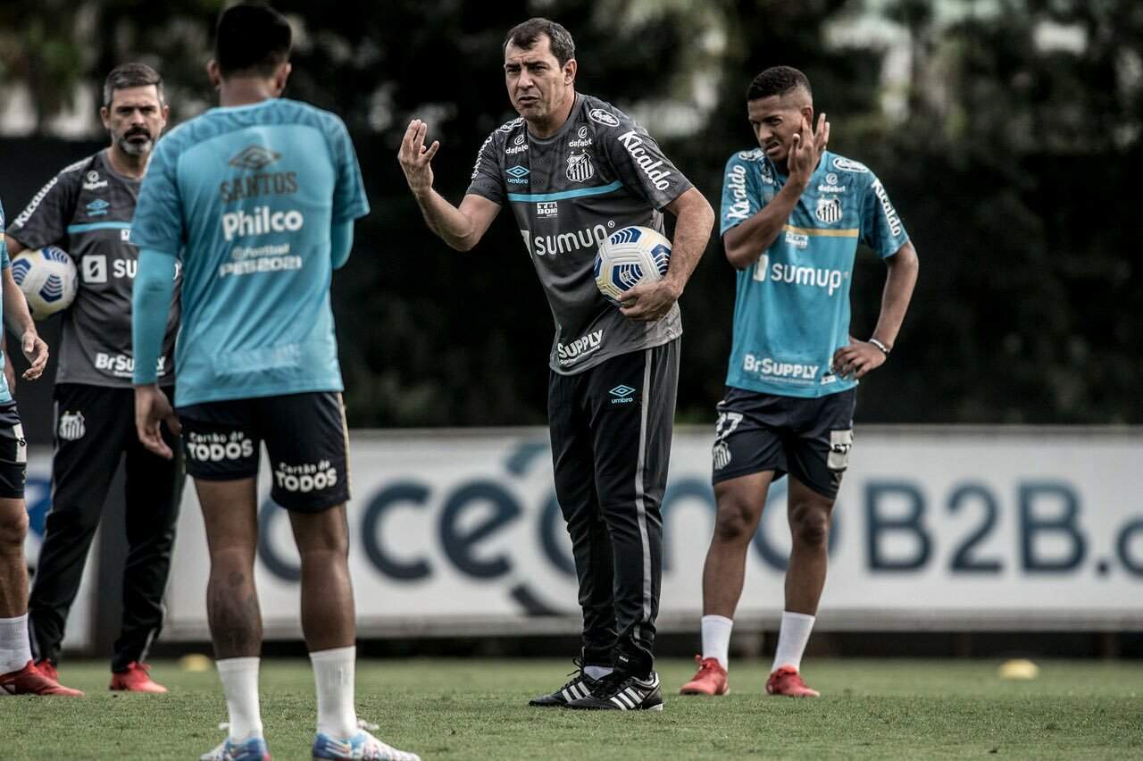 Fábio Carille deve fazer sua estreia no comando santista diante do Bahia (Foto: Divulgação/Santos F.C)