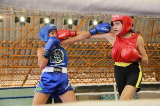 No &aacute;pice com Olimp&iacute;adas e estrelas do MMA, boxe re&uacute;ne sonhos de 86 atletas