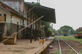 Retrato do abandono, estação ferroviária é o marco de quando o trem puxou desenvolvimento. (Foto: Marcos Maluf)