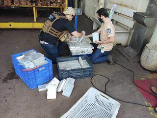 Policiais com os tabletes de cocaína, que foram incinerados durante a operação desta terça-feira (14). (Foto: Polícia Civil)&nbsp;