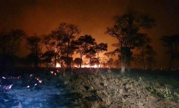 Com 444 focos de inc&ecirc;ndios, Corumb&aacute; lidera ranking de queimadas no pa&iacute;s