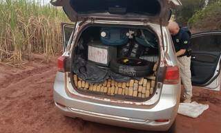 Mais de duas toneladas de maconha eram transportadas em dois dos quatro carros apreendidos. (Foto: Divulgação/PRF)