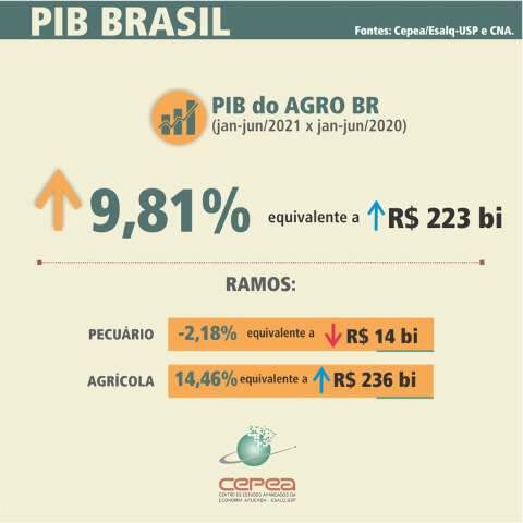 Avanço do PIB do agro no 1º semestre é de quase 10%