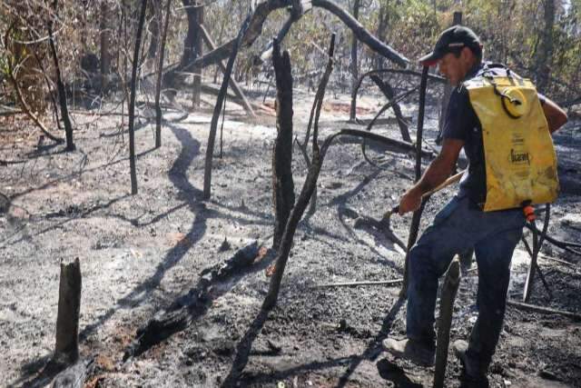 Ap&oacute;s 5 hectares virarem cinzas, 500 mudas ser&atilde;o plantadas no Parque dos Poderes