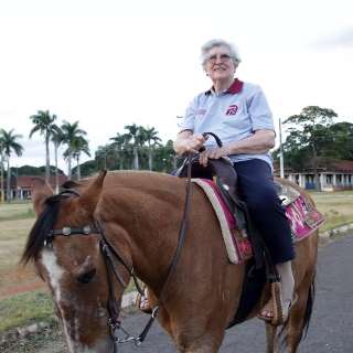 Cavalos viram “terapeutas” para quem busca desestressar no dia a dia