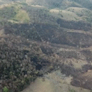 Fazendeiro é multado em R$ 60 mil após incêndio no Pantanal sair de controle