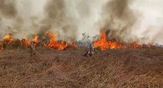 Militares atuando no combate à chamas no Pantanal. (Foto: Diário Corumbaense)