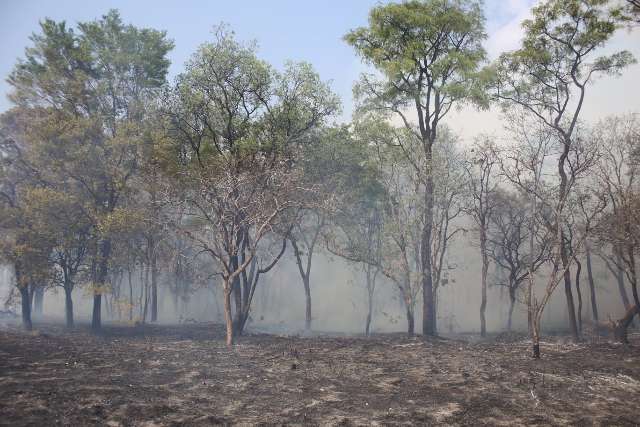 Bombeiros controlam fogo perto de casas com 600 litros de &aacute;gua