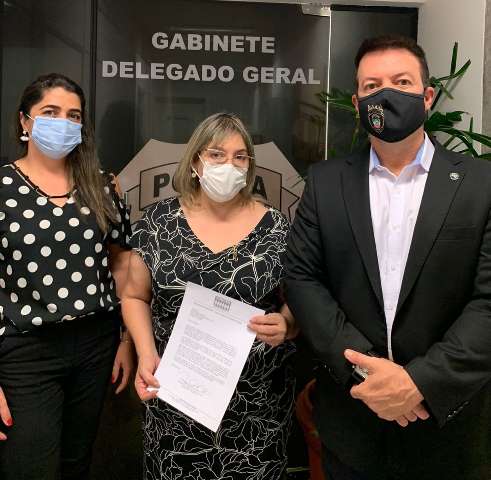 Conselho vai &agrave; pol&iacute;cia cobrar a&ccedil;&otilde;es contra furtos de fios de energia 