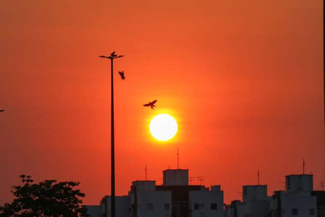 Semana começa com umidade em baixa e calorão de até 44ºC 