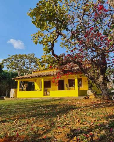 Casa cheia de amarelo vira divers&atilde;o compartilhada em meio &agrave; natureza