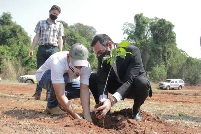 Assembleia Legislativa planta ip&ecirc;s e distribui mudas no Dia da &Aacute;rvore 