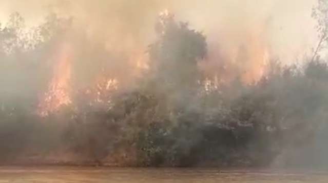 Impressionado com inc&ecirc;ndio, locutor registra &ldquo;Pantanal em chamas&rdquo; em Aquidauana