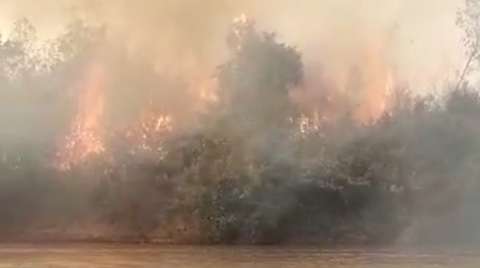 Impressionado com incêndio, locutor registra “Pantanal em chamas” em Aquidauana