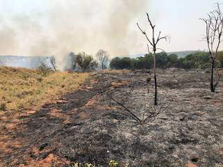 Parte da área com vegetação destruída pelo fogo. (Foto: Cristiano Arruda)