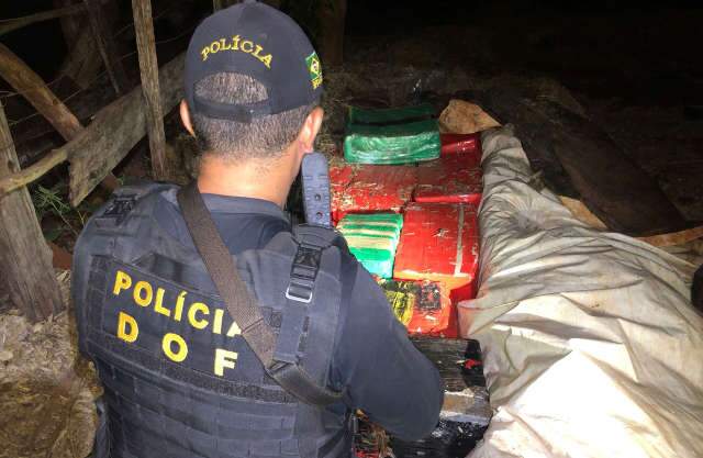Fazenda usada por traficantes tinha 670 quilos de maconha enterrada no quintal 