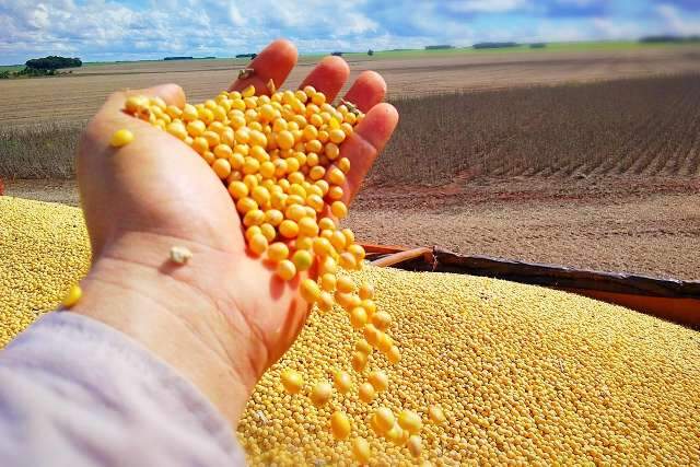 Fundação MS orienta produtores sobre plantio e manejo da cultura da soja