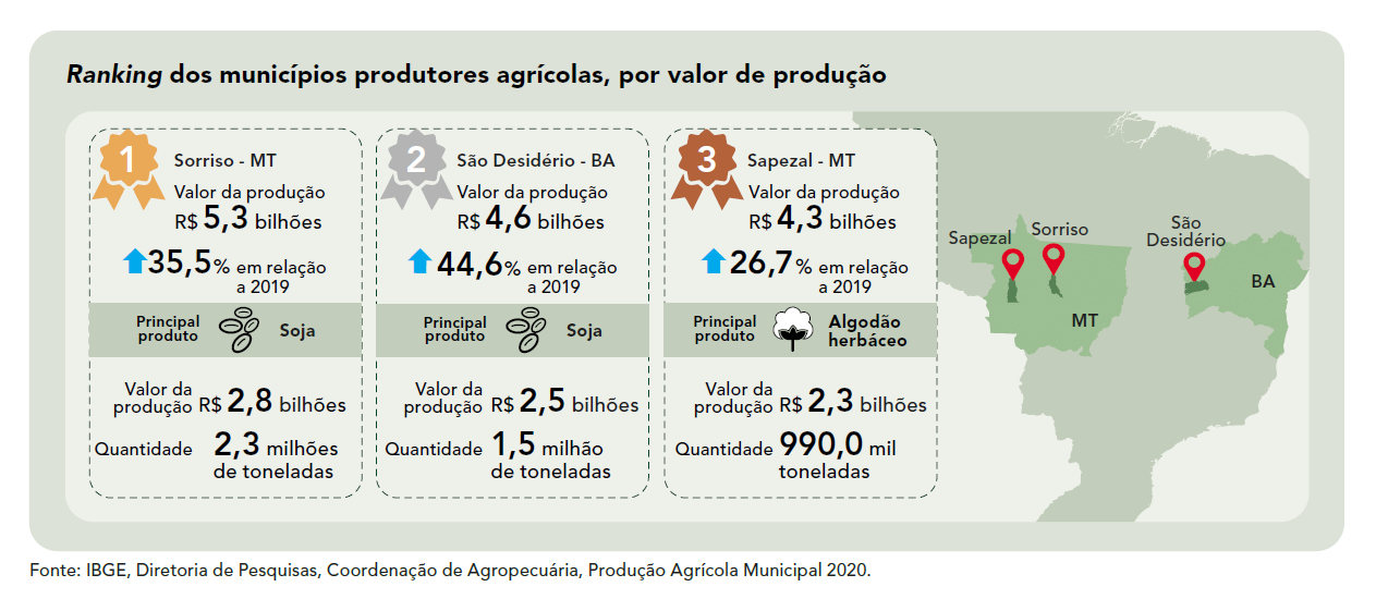 Entre as culturas agrícolas que mais contribuíram para o recorde da safra 2020 está a soja
