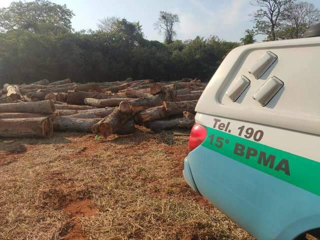 Fazendeiro de SP &eacute; flagrado enterrando madeiras ilegais com escavadeira  