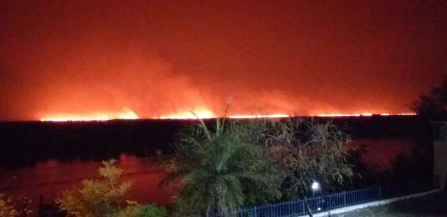V&iacute;deo mostra for&ccedil;a do fogo que avan&ccedil;a em &aacute;rea pr&oacute;xima ao Rio Paraguai 