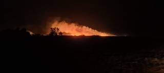 Área de lavoura queimada totalizou 343 hectares. (Foto: Divulgação/PMA)